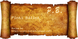 Pinti Bálint névjegykártya